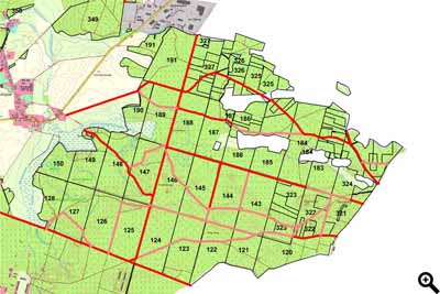 Waldeinteilung in Flügel, Schneisen und Abteilungen. Rot und rosa sind Wege der Basiserschließung markiert.