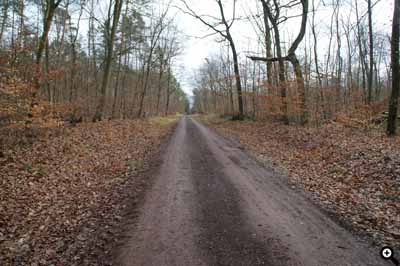 Ein Hauptweg mit der Möglichkeit an der Seite Polter anzulegen.