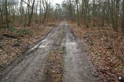 Ein Zubringerweg, der mit dem LKW nur bedingt befahrbar ist.